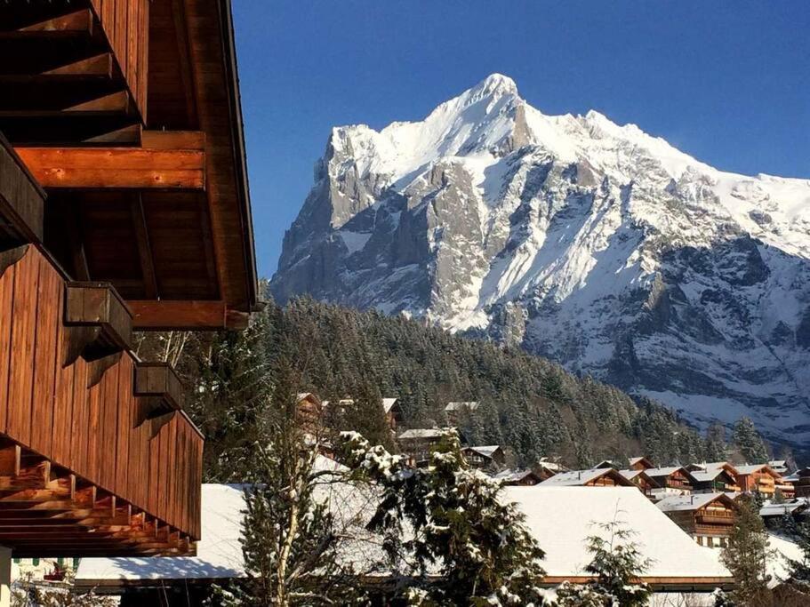 Chalet M Γκρίντελβαλντ Εξωτερικό φωτογραφία